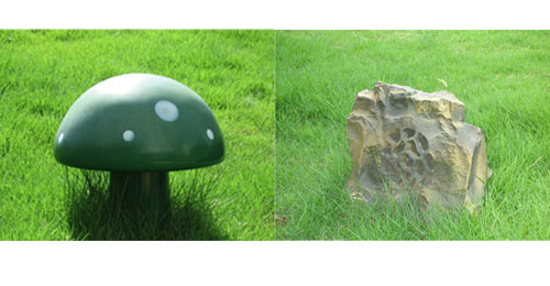 �����ƺ����